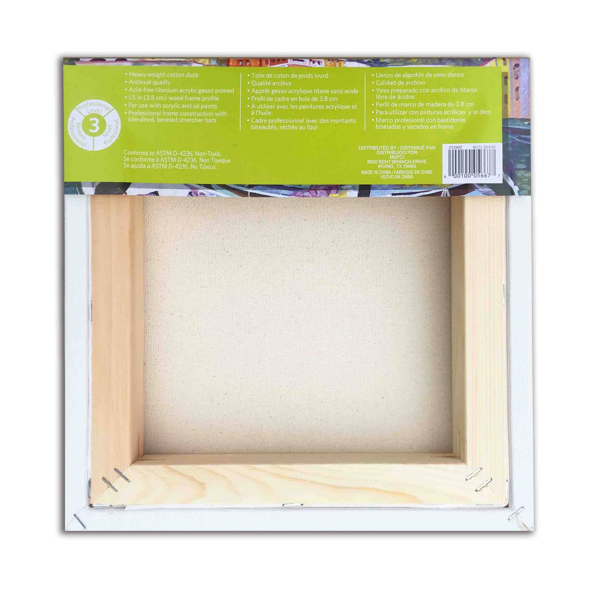 Pack: Level 3 Gallery Wrapped Heavy Duty Canvas by Artist's Loft
